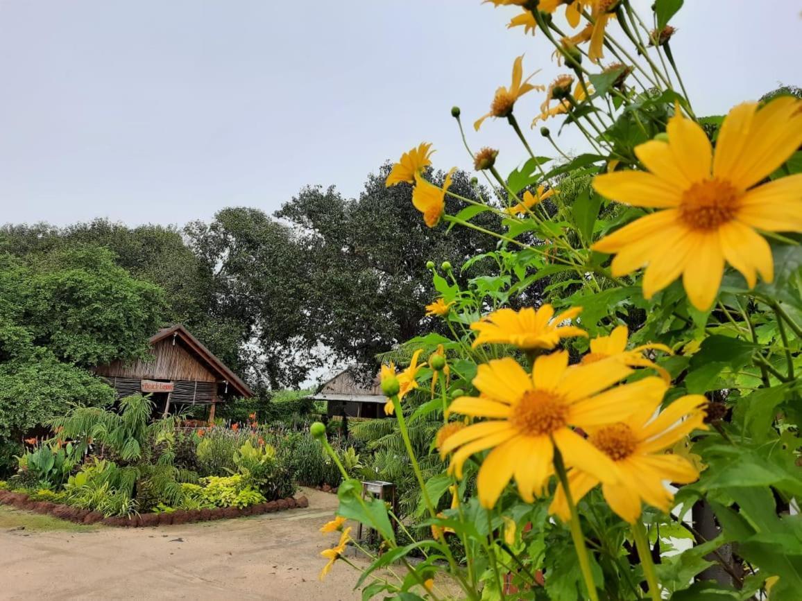 Beach Lagoon Parans Hotel Arugam Bay Luaran gambar