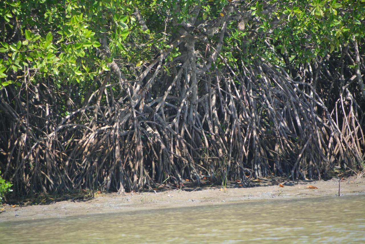 Beach Lagoon Parans Hotel Arugam Bay Luaran gambar