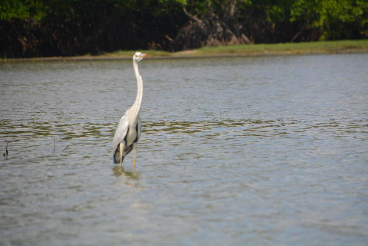 Beach Lagoon Parans Hotel Arugam Bay Luaran gambar